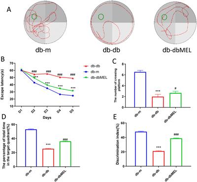 Effect of melatonin on gut microbiome and metabolomics in diabetic cognitive impairment